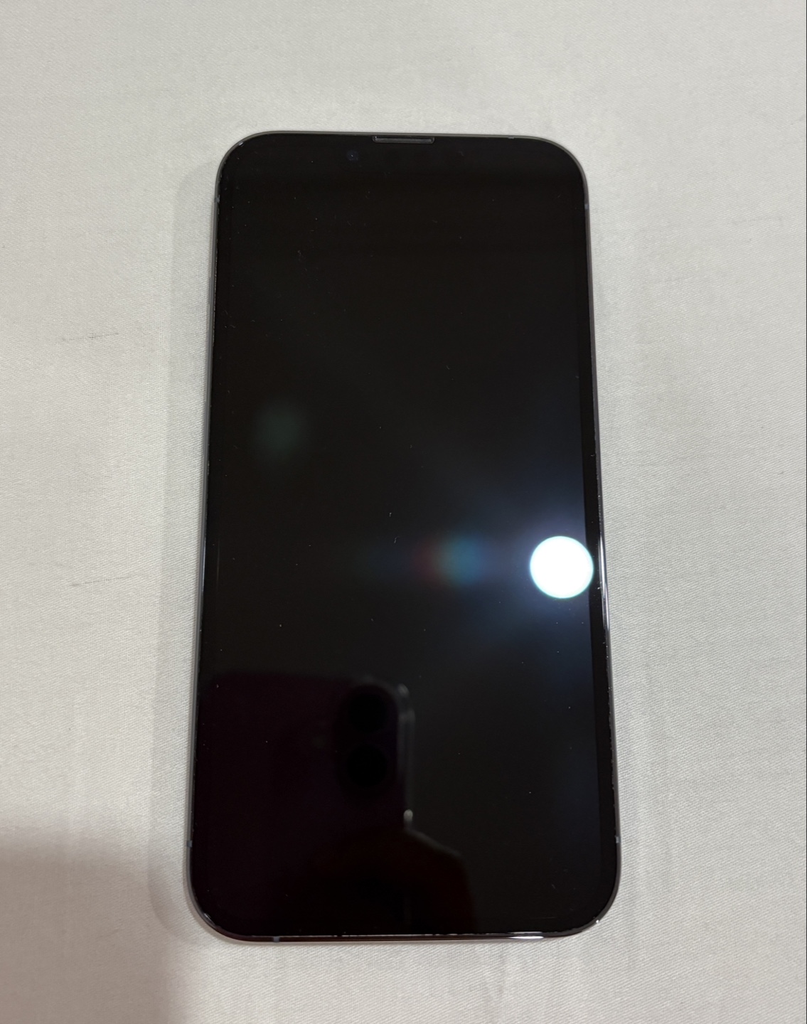 iPhone 13 pro - Sierra Blue - photo 3