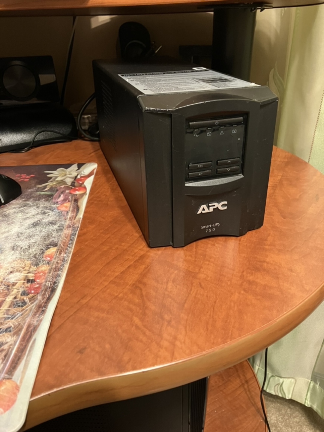 APC Smart-UPS 750VA / 500W (Power Backup)