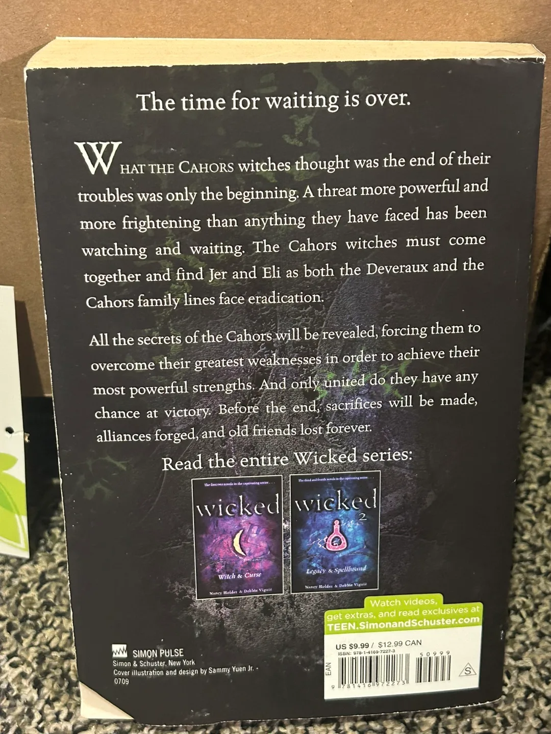 Wicked - Series (Book 1&2) image indicator(2)