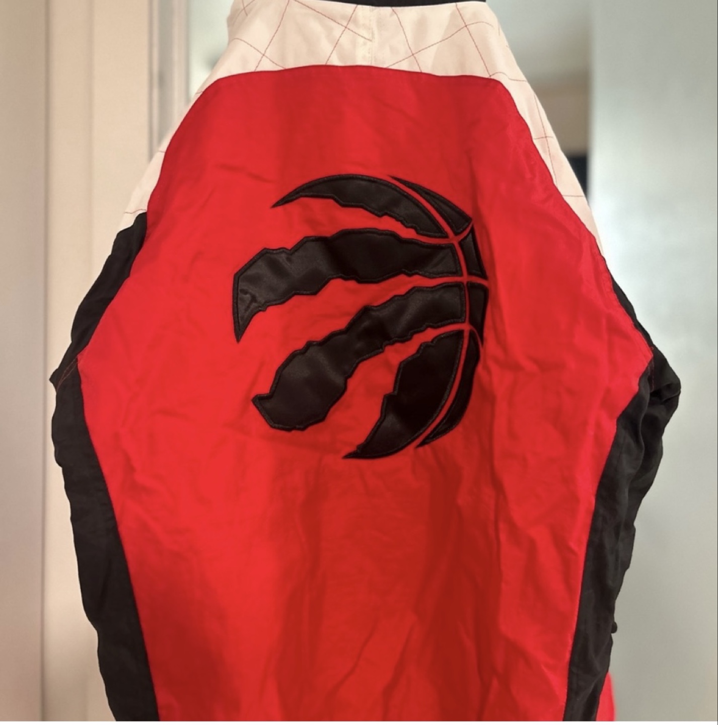Starter Toronto Raptors Jacket - Size Large - photo 4