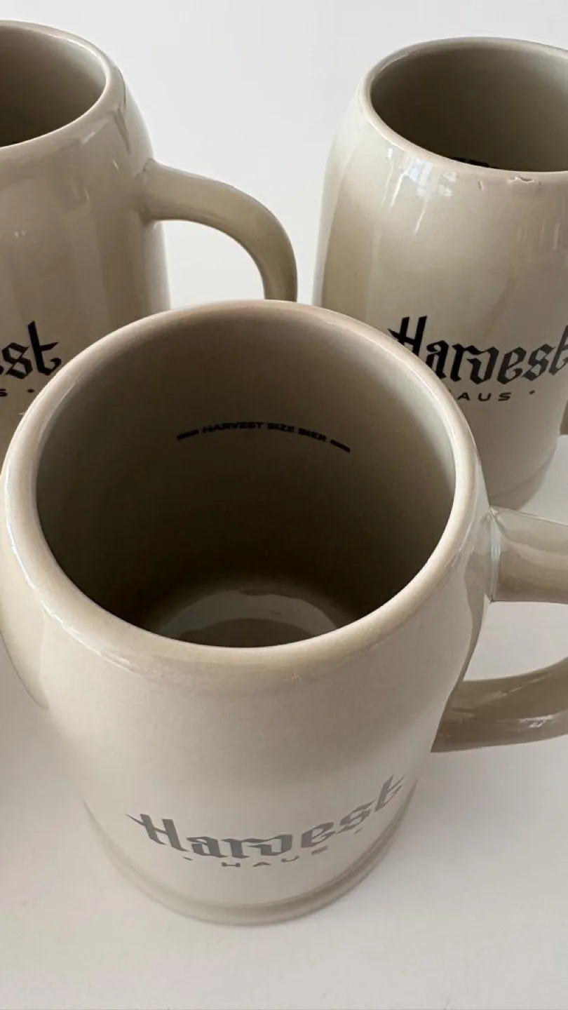 Five Harvest Haus Beer Steins image indicator(2)