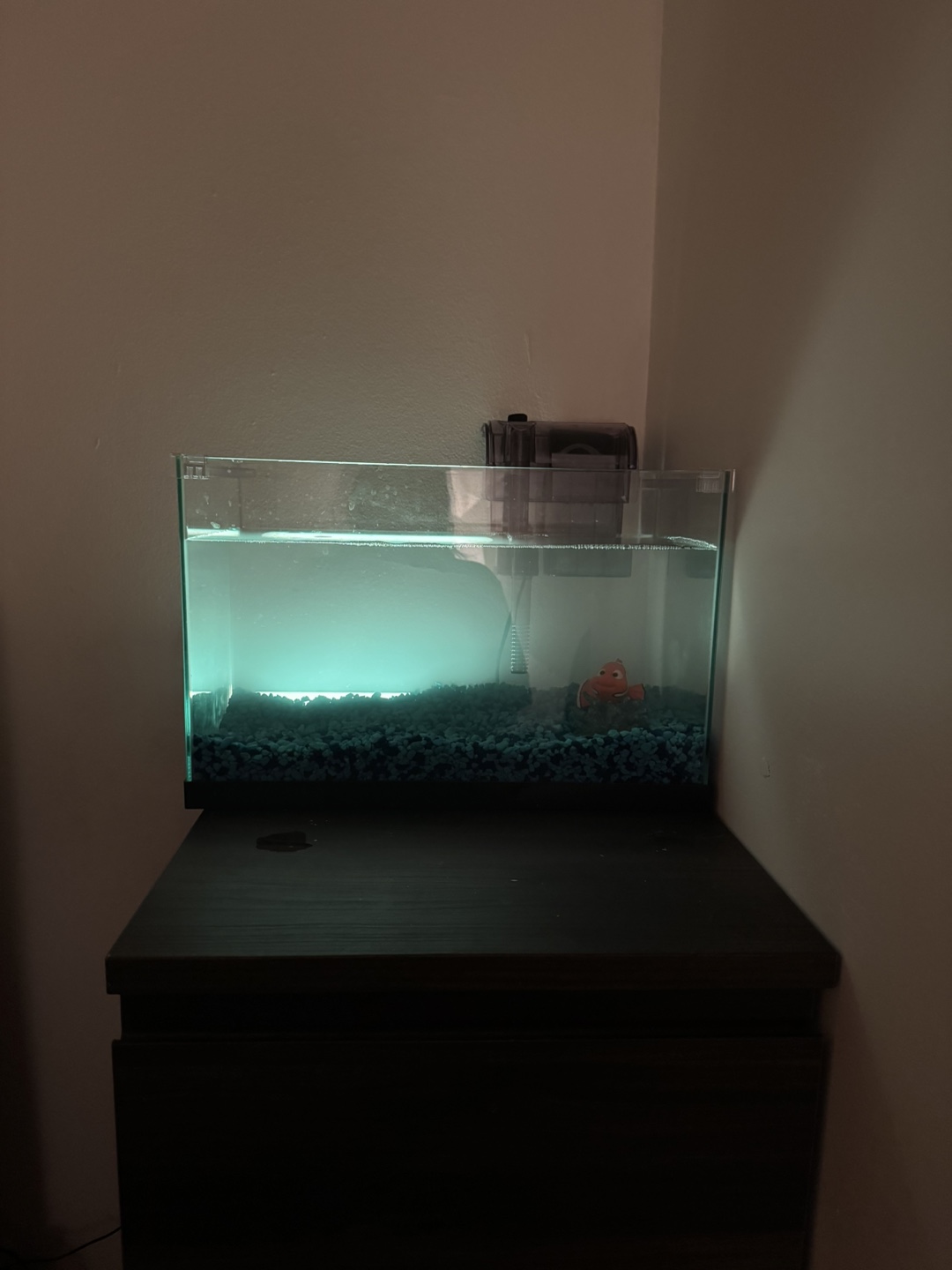 Small fish tank with filter - photo 2