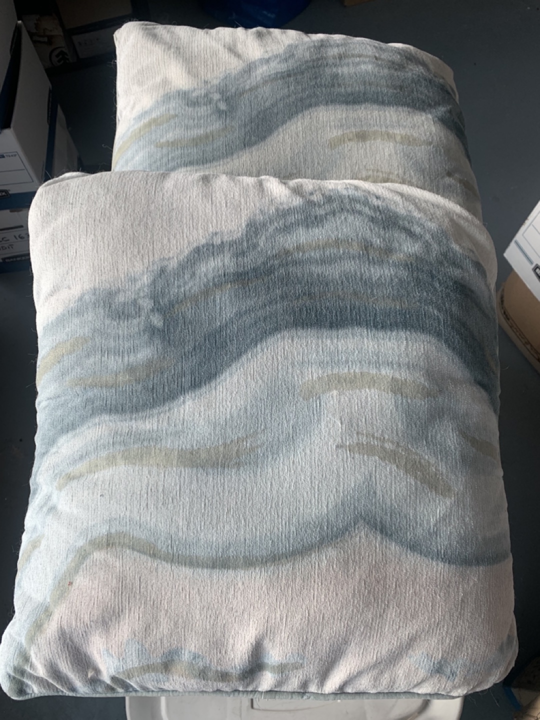 Set of Two Decorative Throw Pillows
