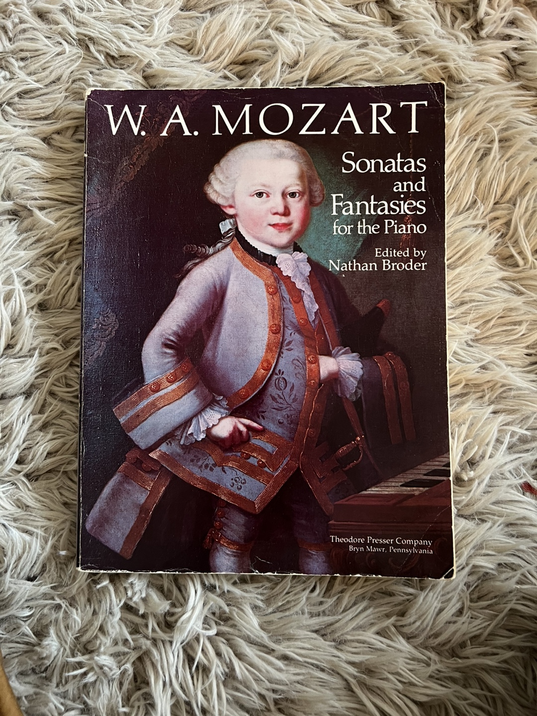 W.A. Mozart Sonatas and Fantasies for the Piano Sheet Music