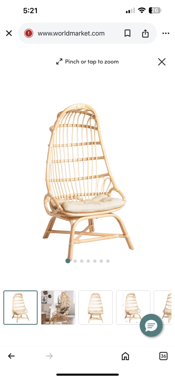 World Market Rattan Papasan Chair - photo 3