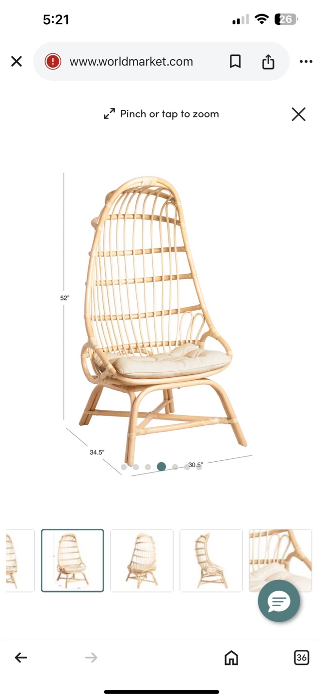 World Market Rattan Papasan Chair - photo 4