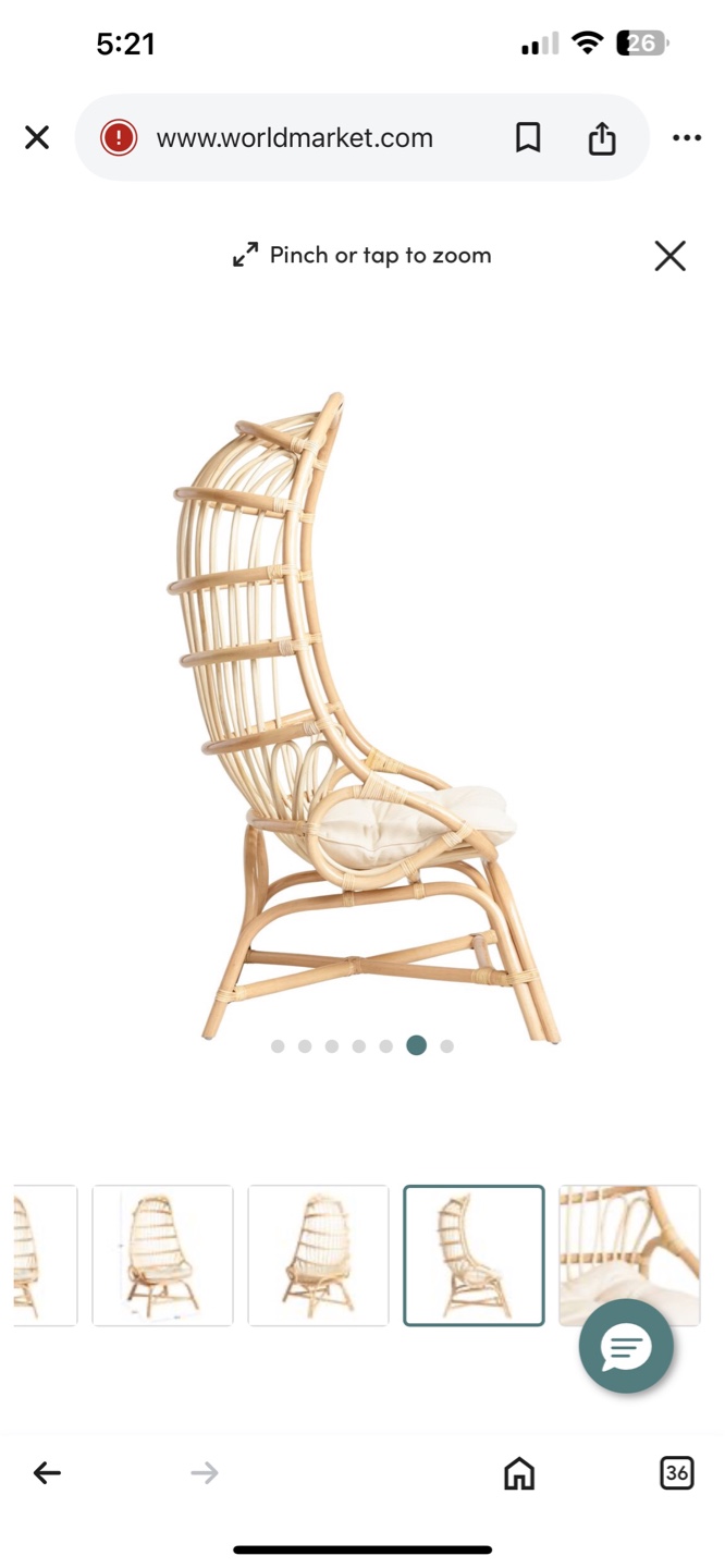 World Market Rattan Papasan Chair - photo 5