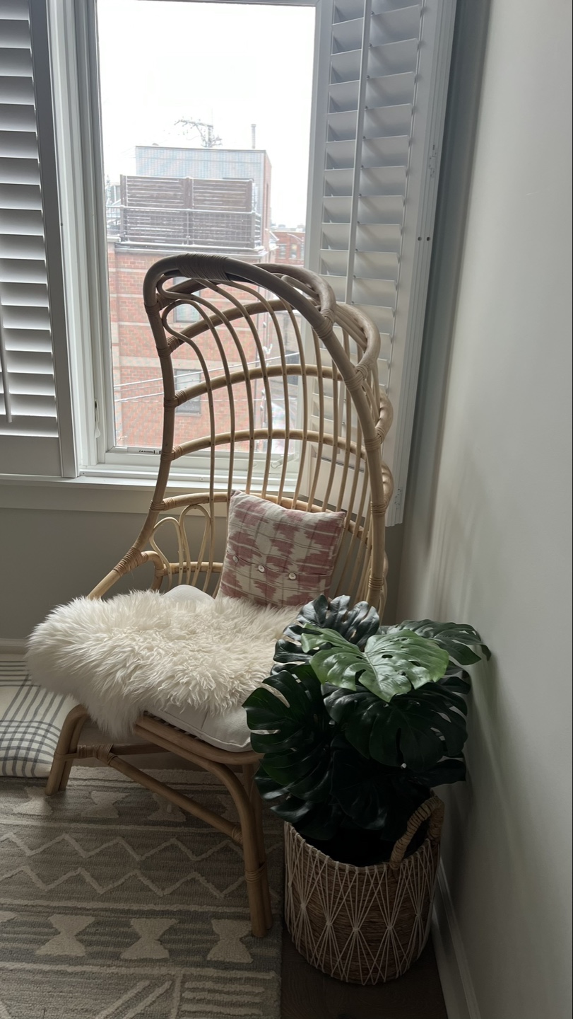 World Market Rattan Papasan Chair