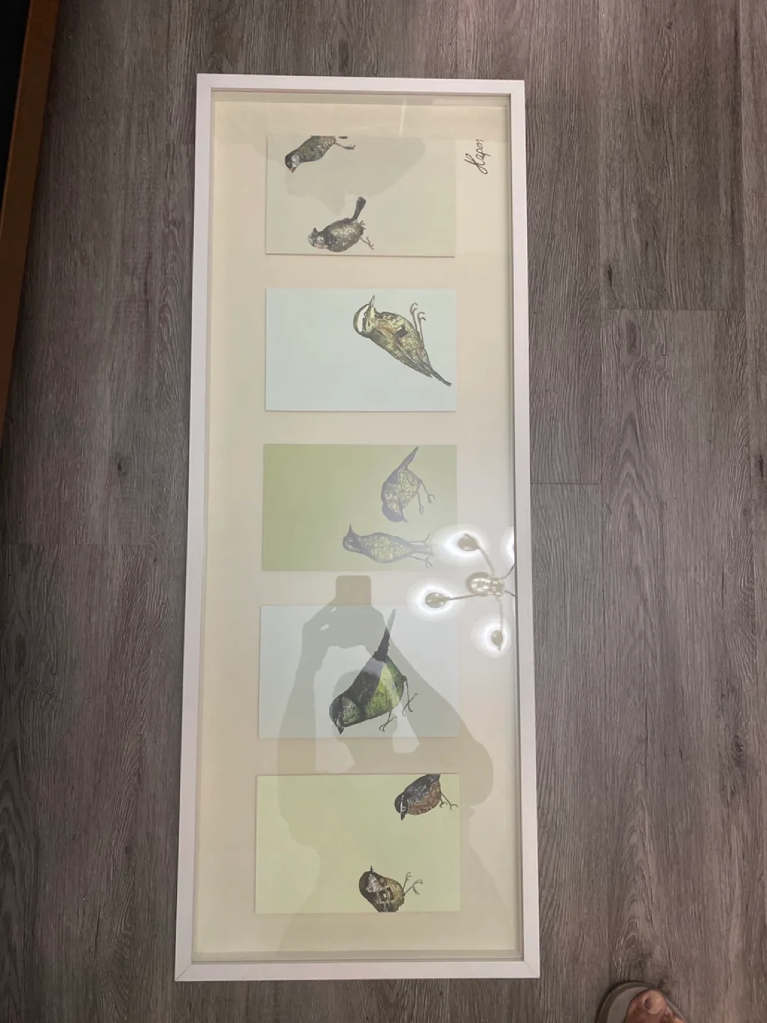 Framed Bird Print Collage thumbnail