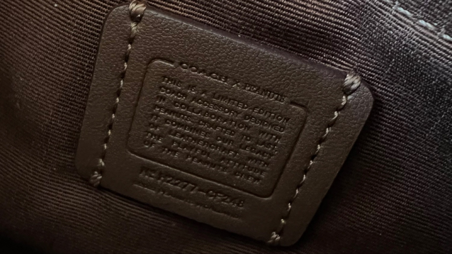 💚Coach x Peanuts Limited Edition crossbody bag - photo 3