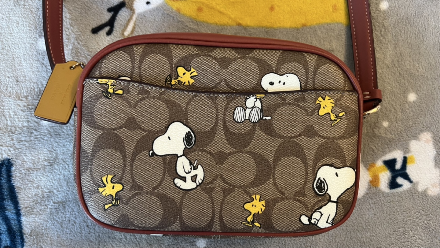 💚Coach x Peanuts Limited Edition crossbody bag - photo 2