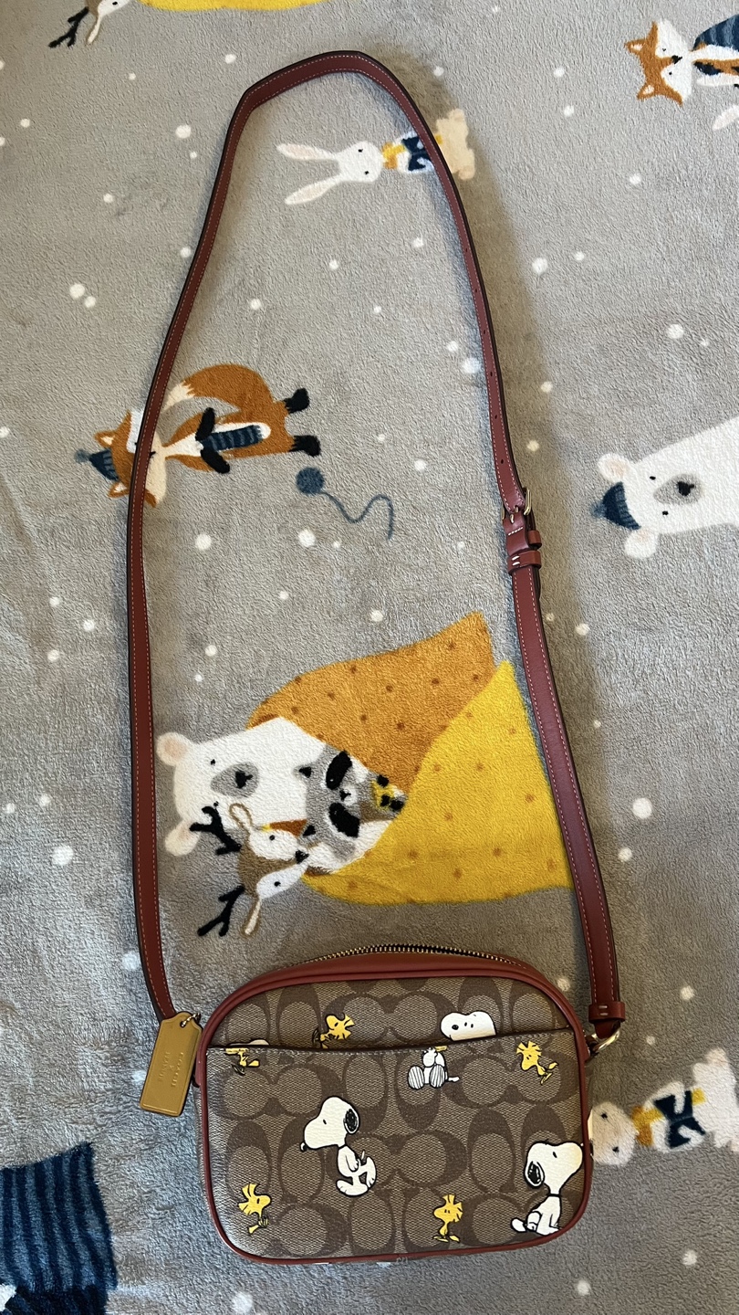 💚Coach x Peanuts Limited Edition crossbody bag - photo 4