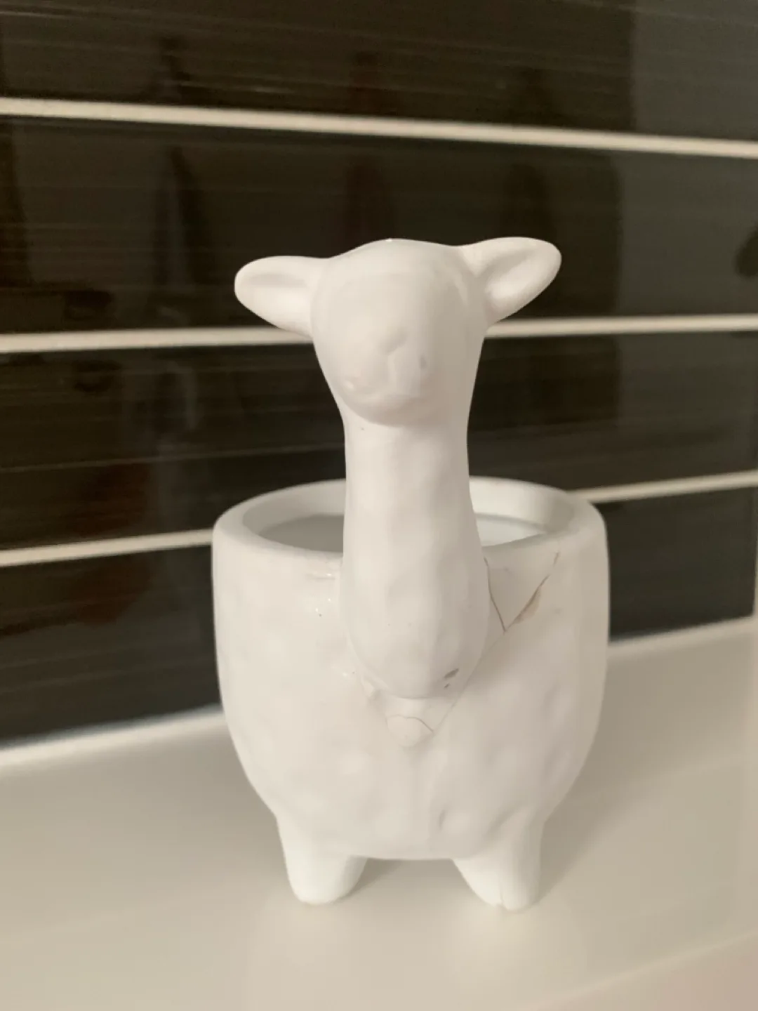 Adorable Llama Planter 💚 thumbnail