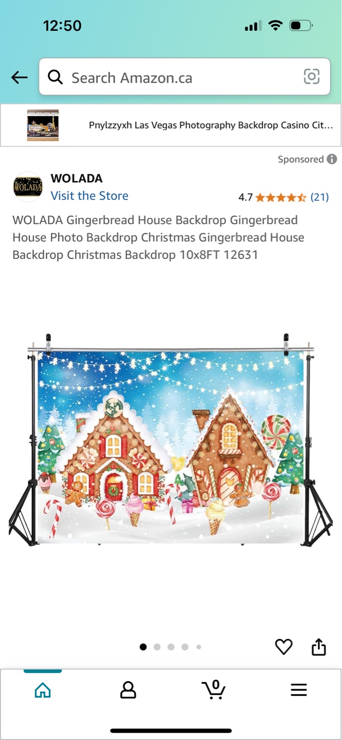 Christmas Gingerbread House Photography Backdrop - 10x8FT