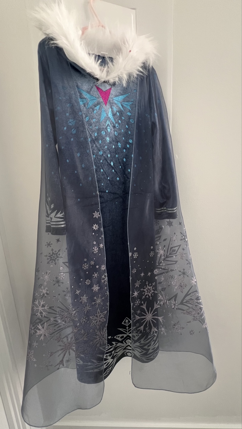 Elsa Dress Up Costume - Frozen - photo 2