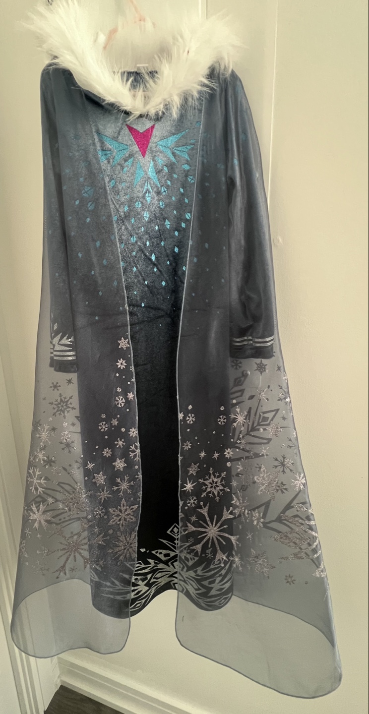 Elsa Dress Up Costume - Frozen