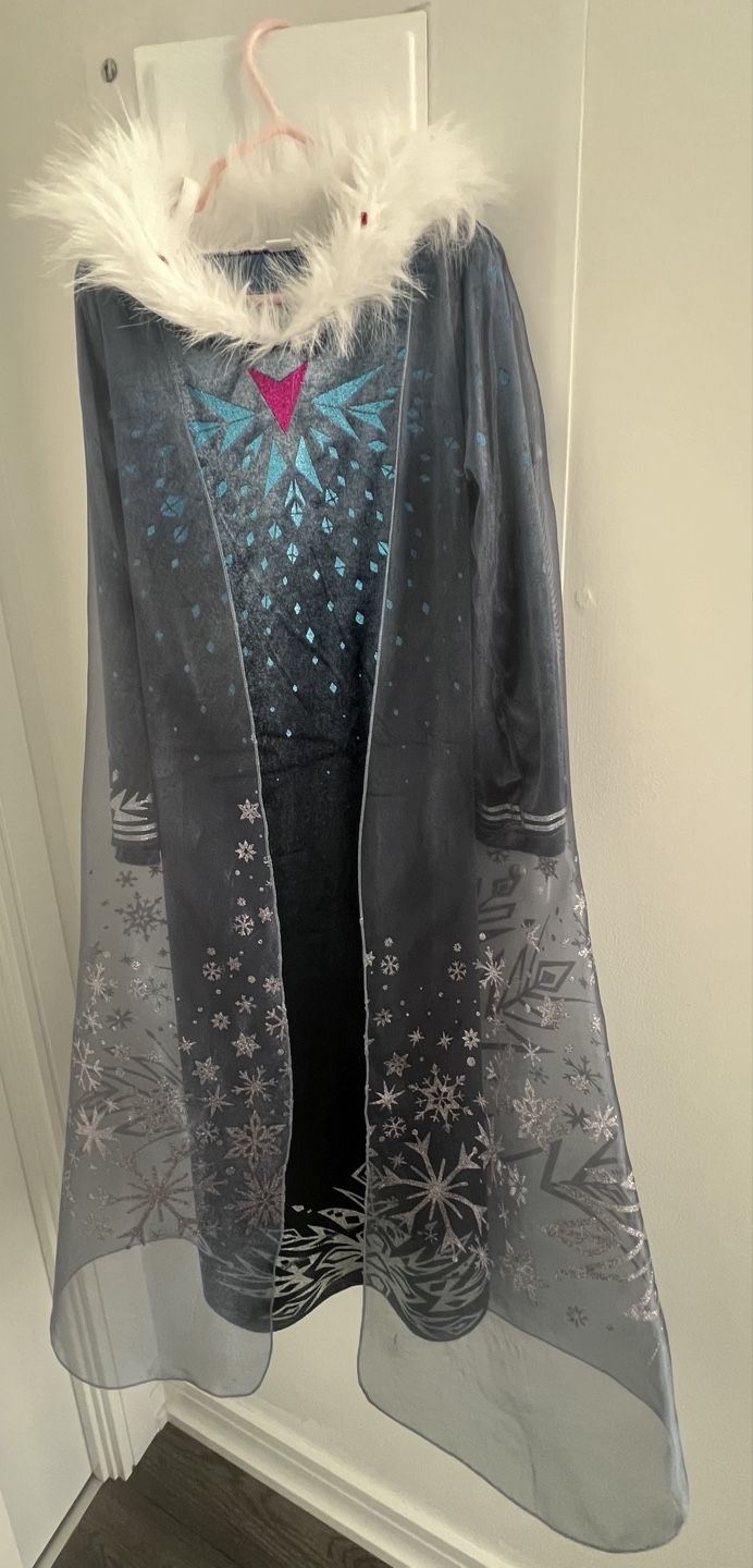 Elsa Dress Up Costume - Frozen - photo 4