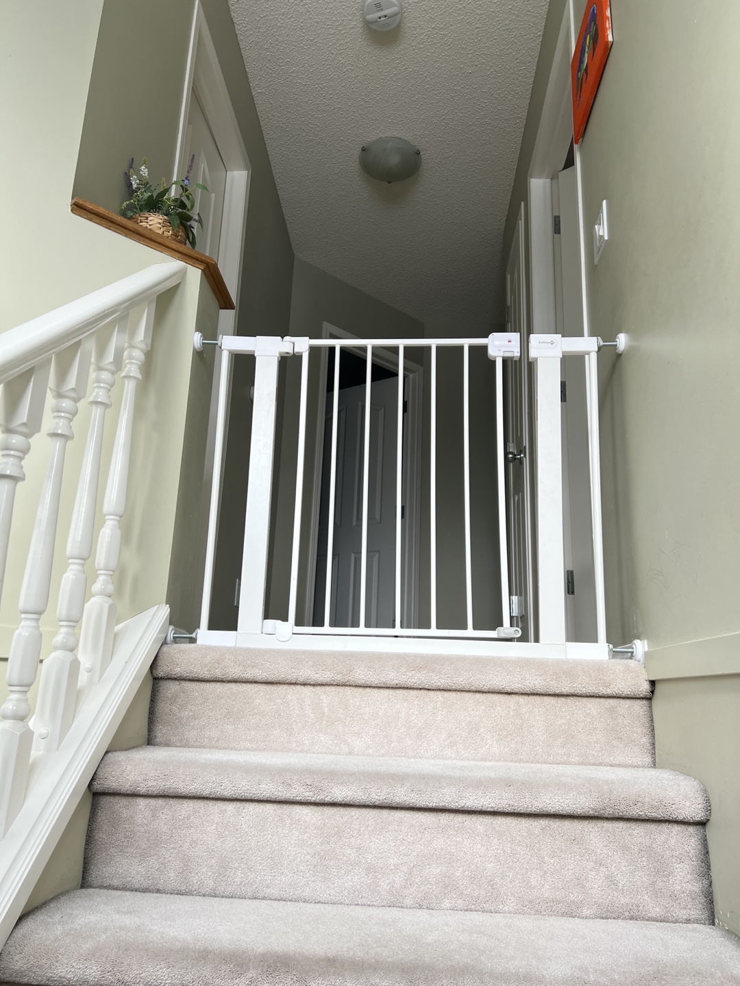💚Safety 1st Easy Install Baby Gate