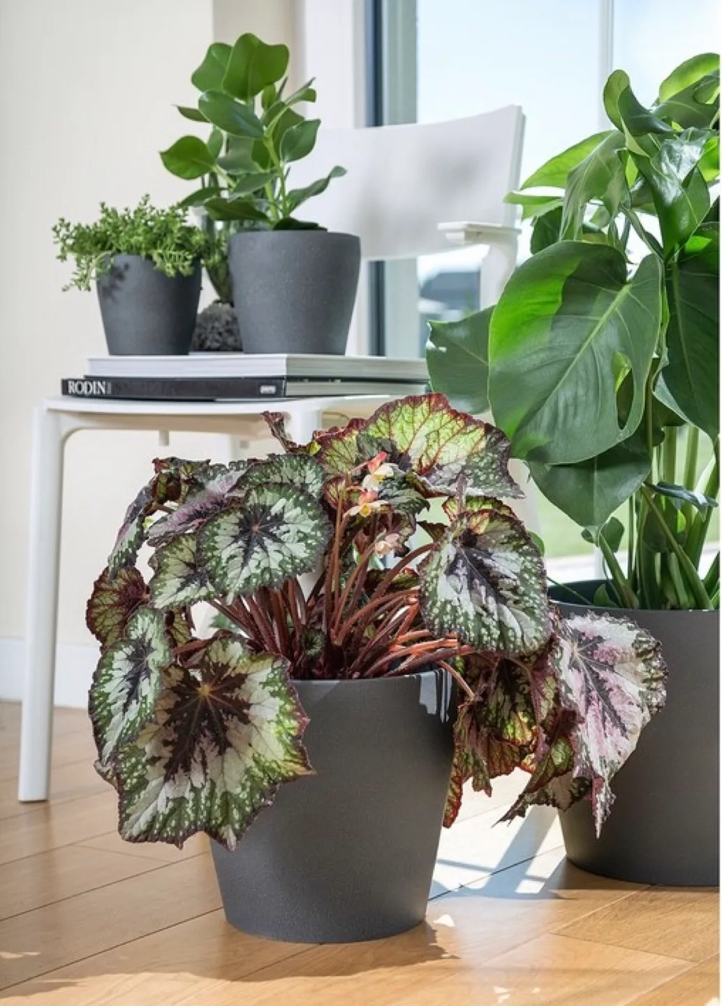 IKEA Persillade Large Plant Pot Dark Grey image indicator(3)