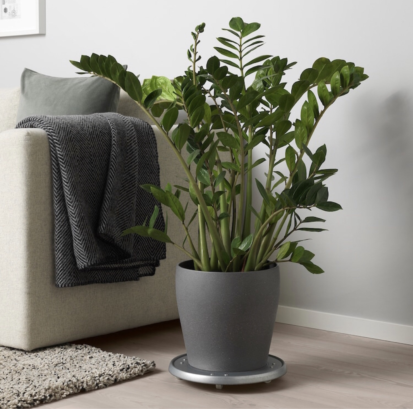 IKEA Persillade Large Plant Pot Dark Grey - photo 2