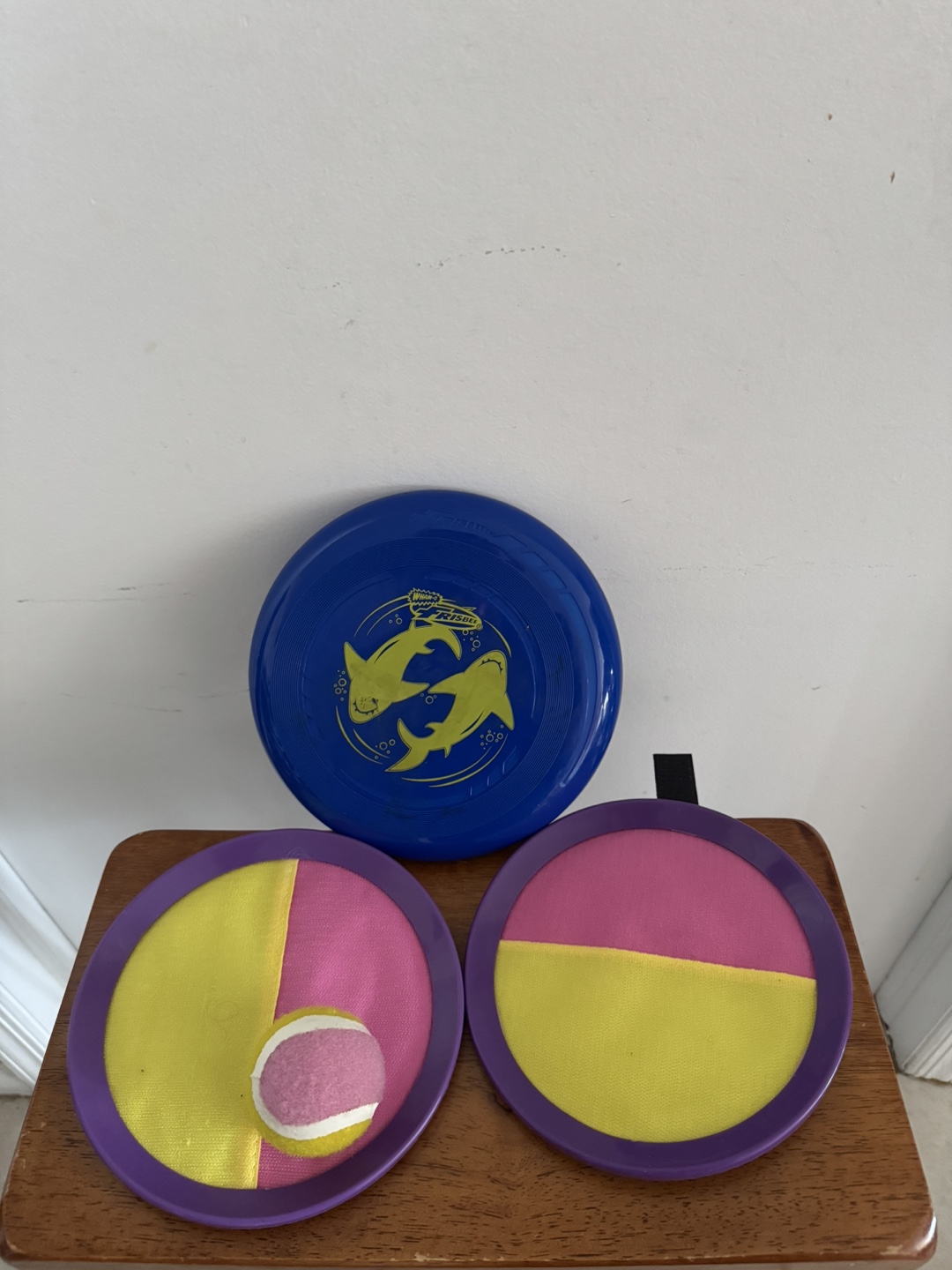 Frisbee and Catch Set