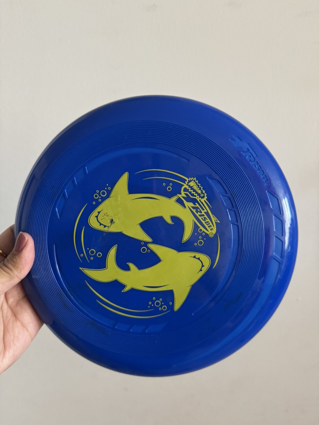 Frisbee and Catch Set - photo 3