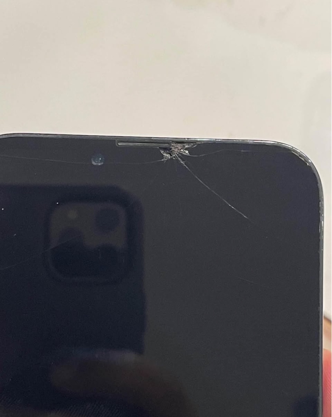 iPhone 13 Pro Max - 256 GB - Sierra Blue - photo 5