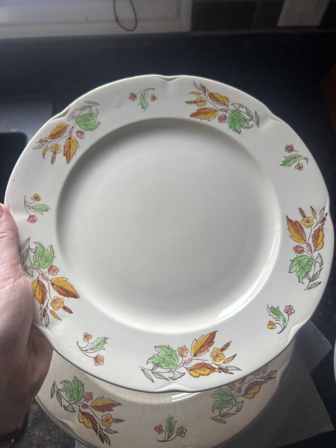 Plates 26 psc - photo 2