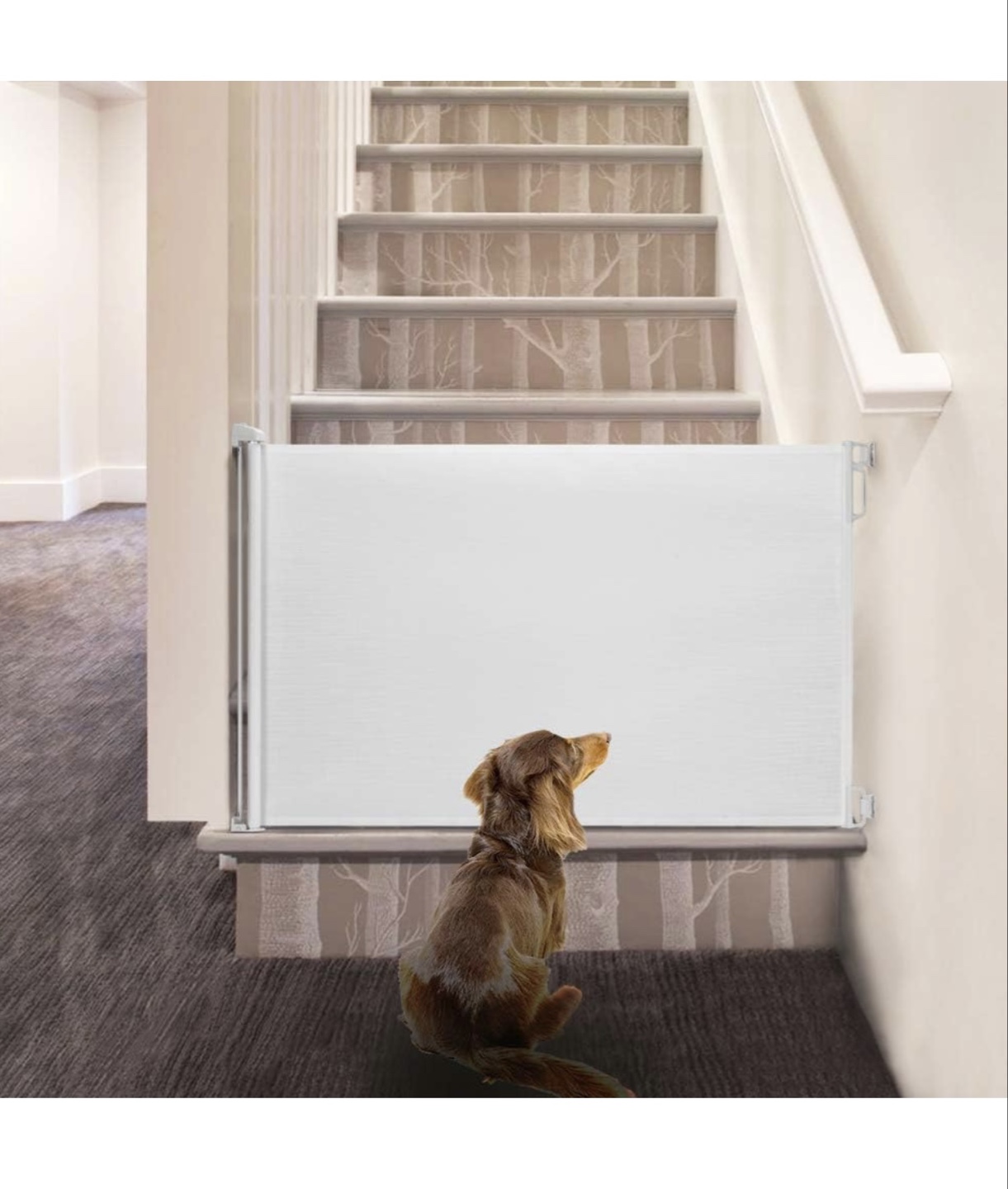 EasyBaby White Retractable Safety Gate - photo 4