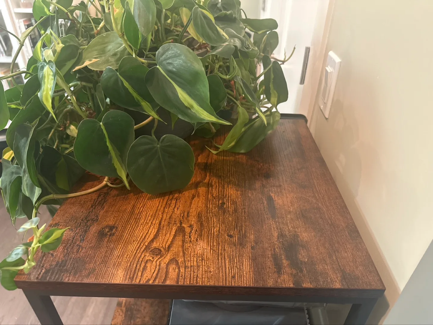 Two-Drawer Filing Cabinet with Top Shelf 💚 image indicator(4)