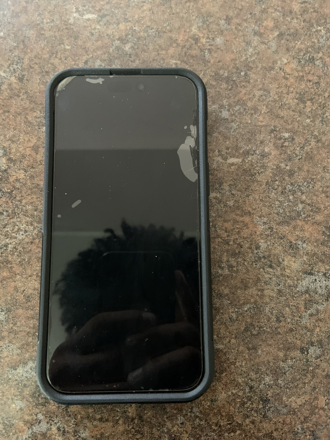 iPhone 15 Pro Max 256GB - photo 3