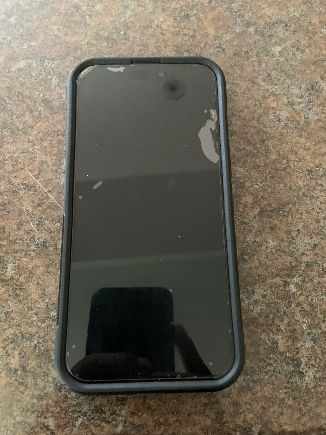 iPhone 15 Pro Max 256GB - photo 2