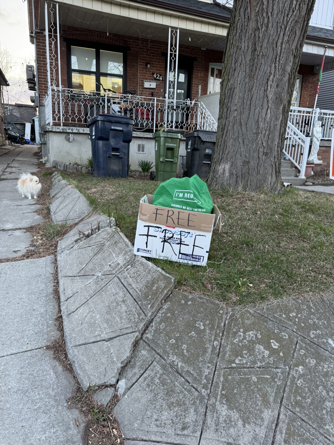 Free women’s clothing
