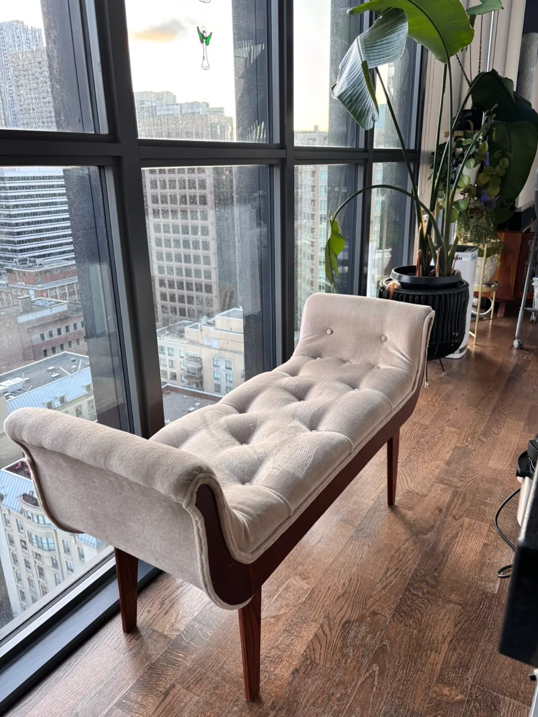 Elegant Velvet Bench with Dark Wood Legs thumbnail