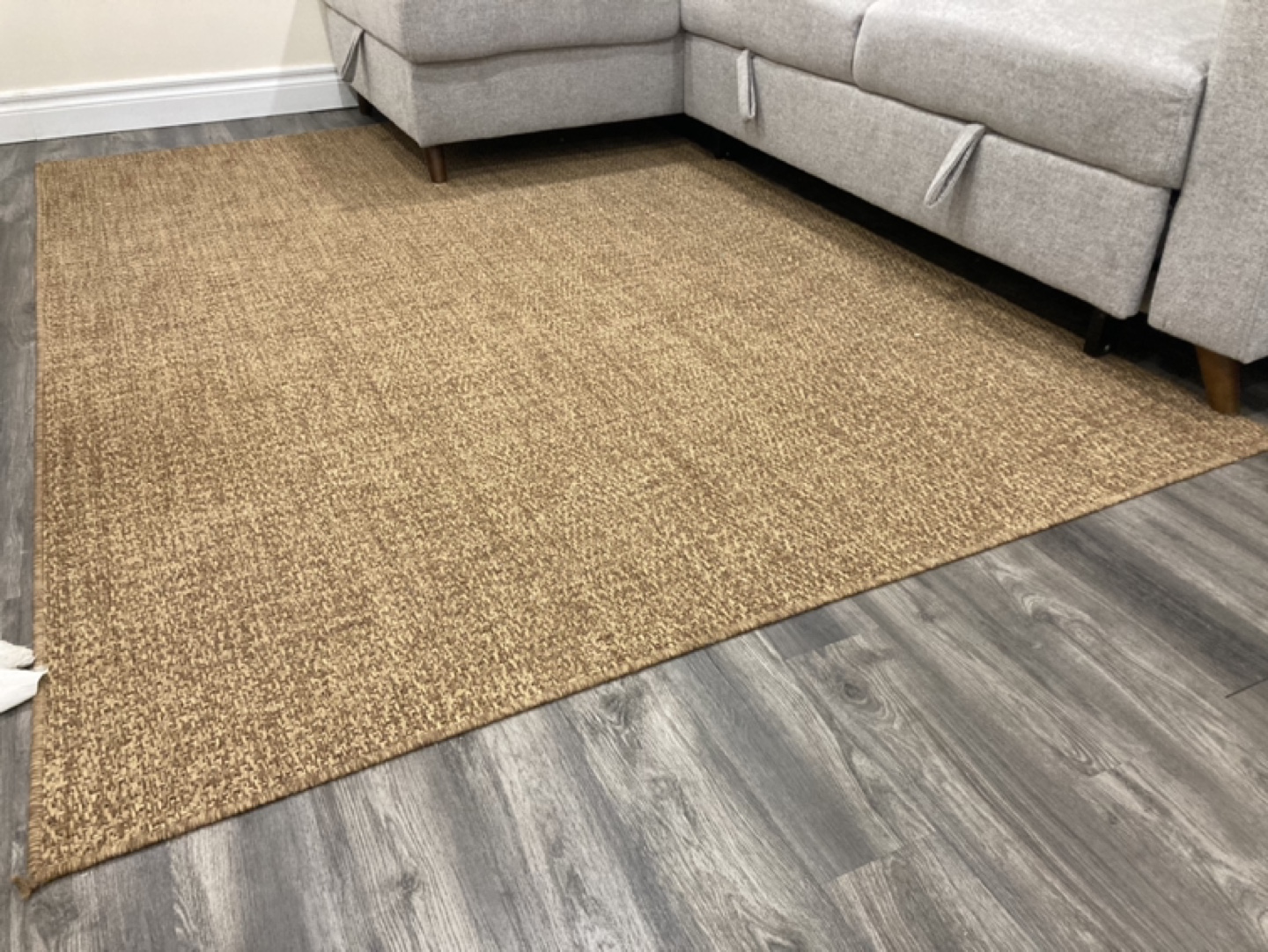 Large Brown Area Rug - photo 2