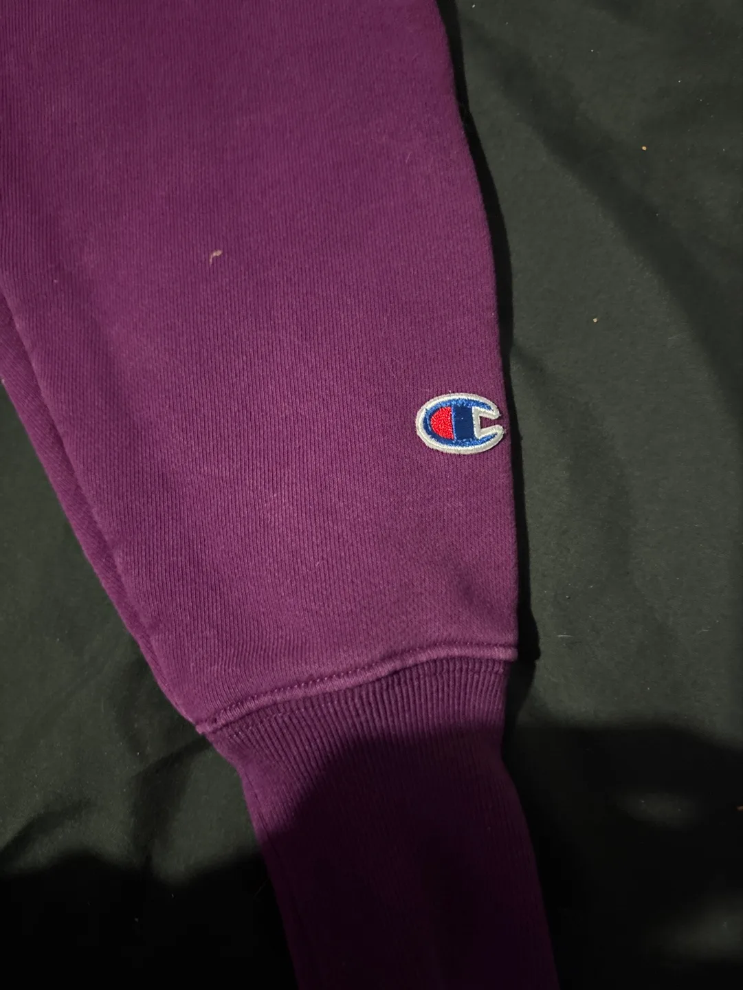 Champion Purple Cropped Hoodie image indicator(2)