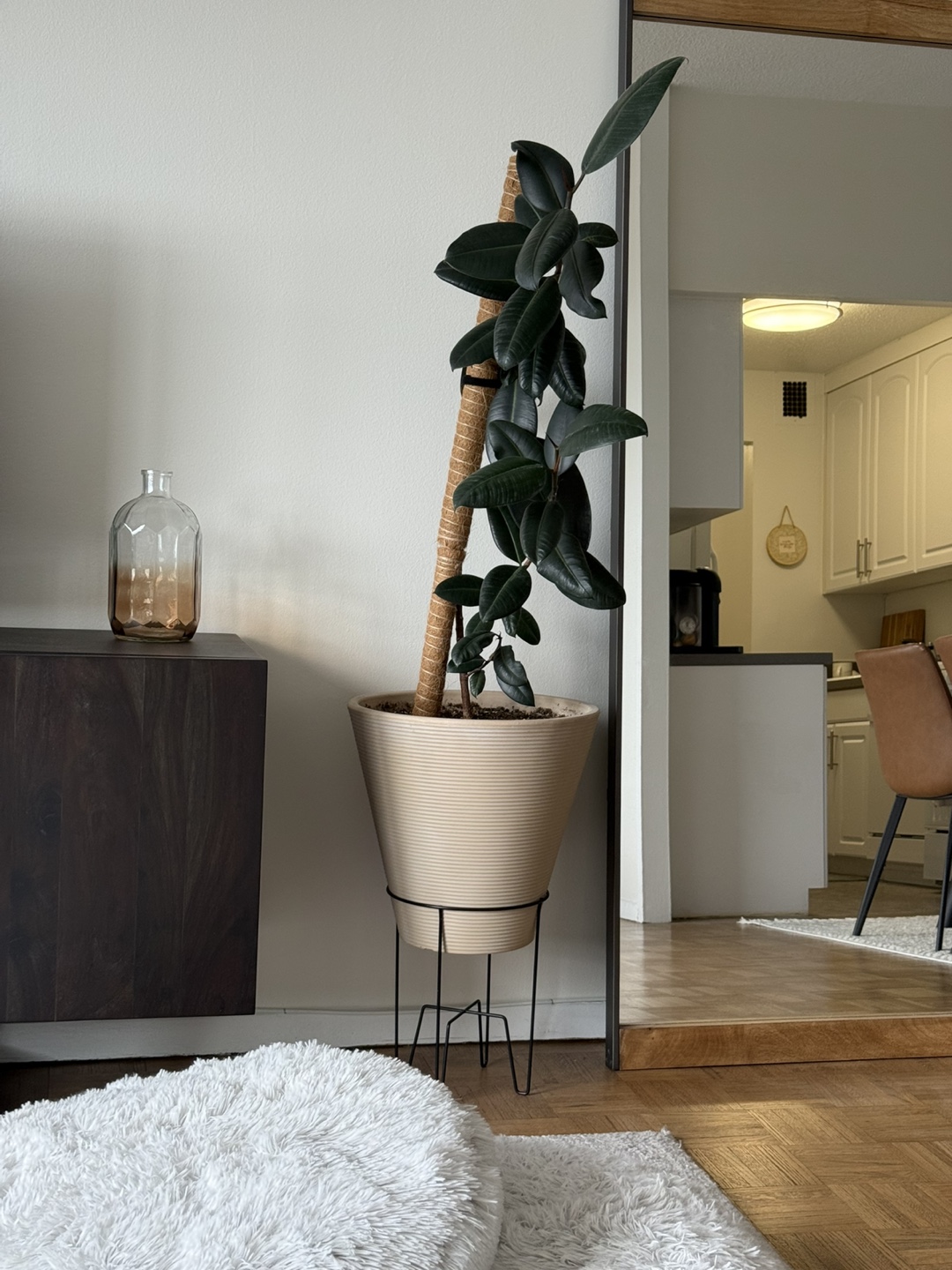 Plant in cream Planter with Stand