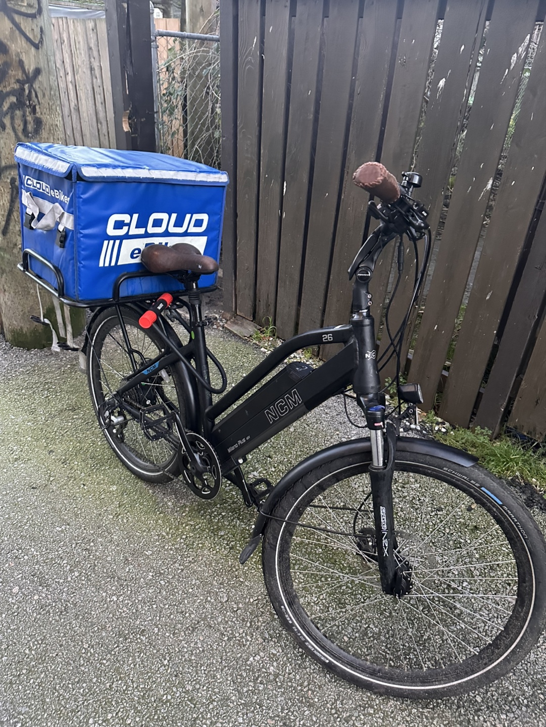 Milano Plus 48V E-bike- excellent condition