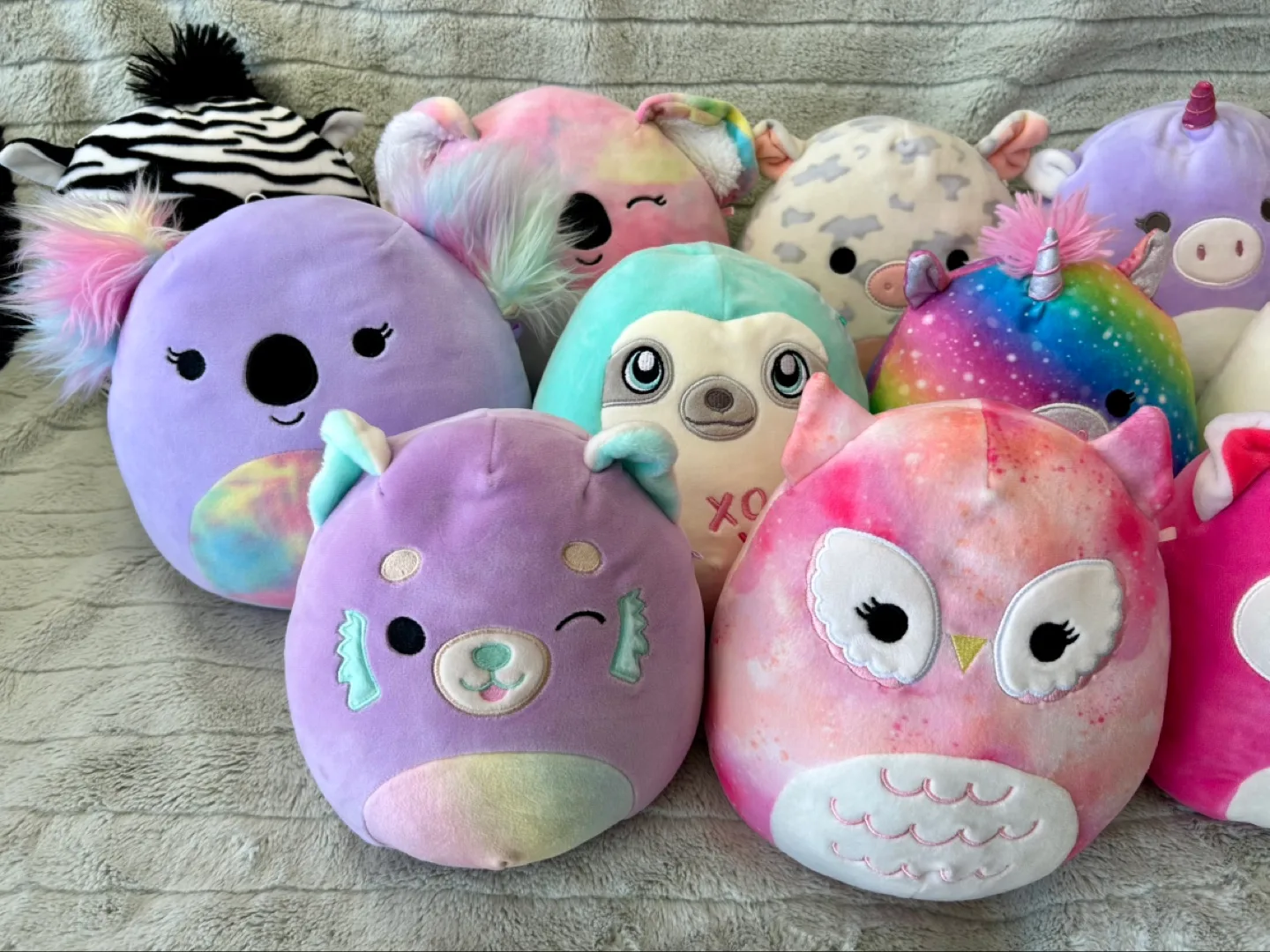 All for $20 - Squishmallows Lot image indicator(2)