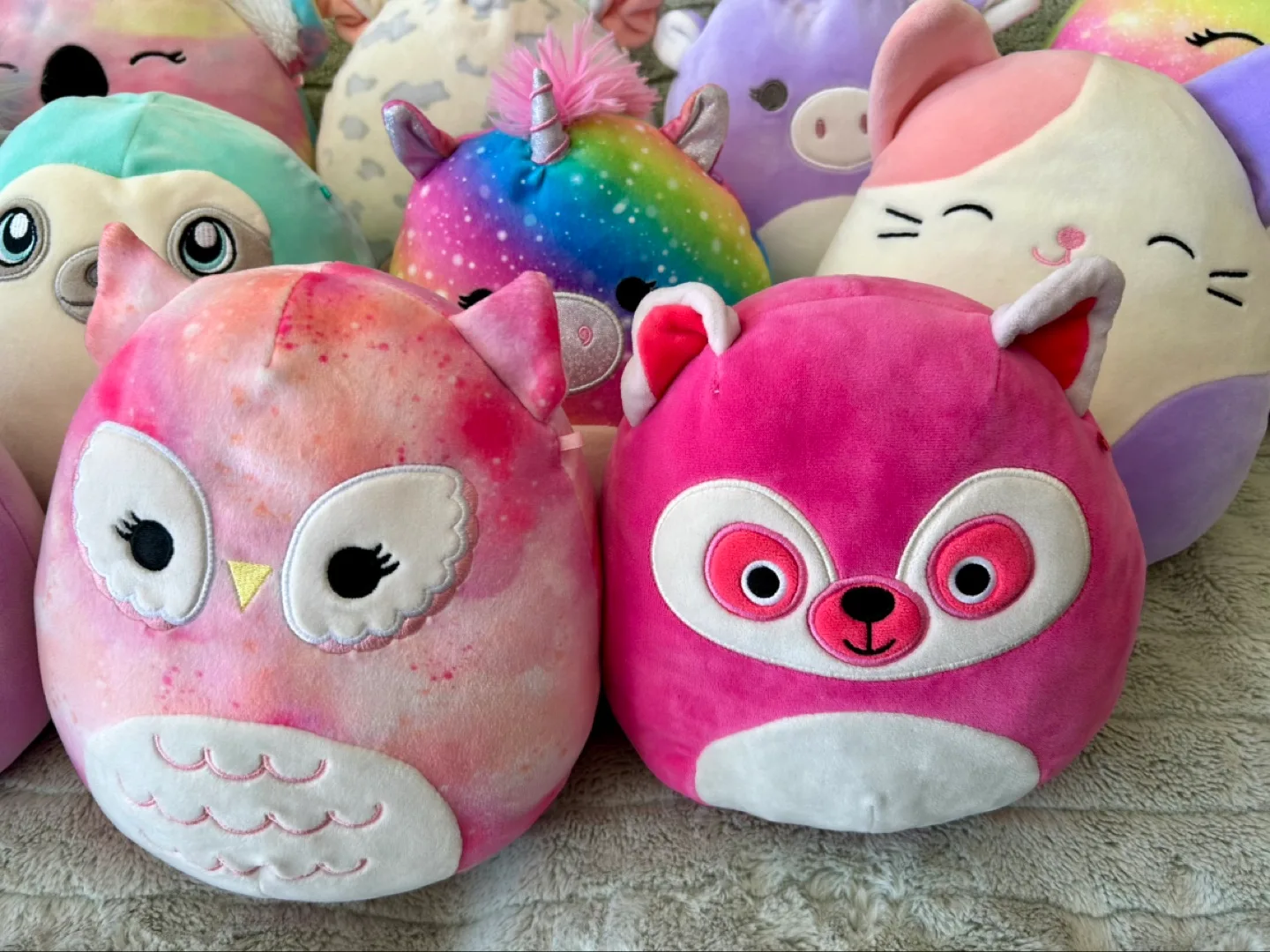 All for $20 - Squishmallows Lot image indicator(5)