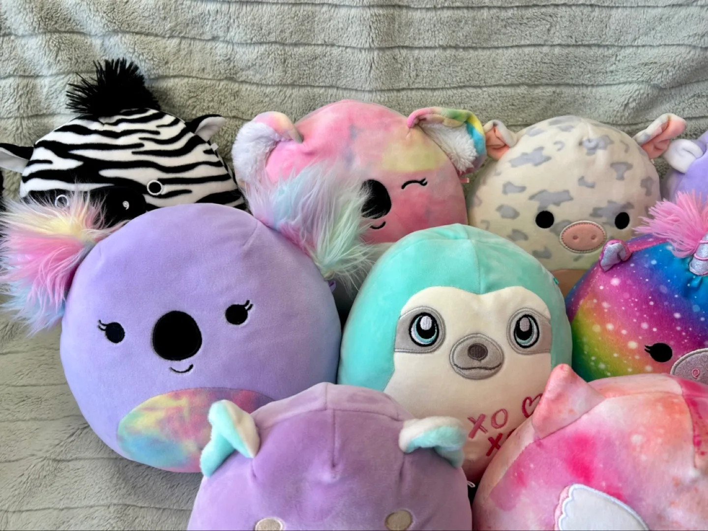 All for $20 - Squishmallows Lot image indicator(3)