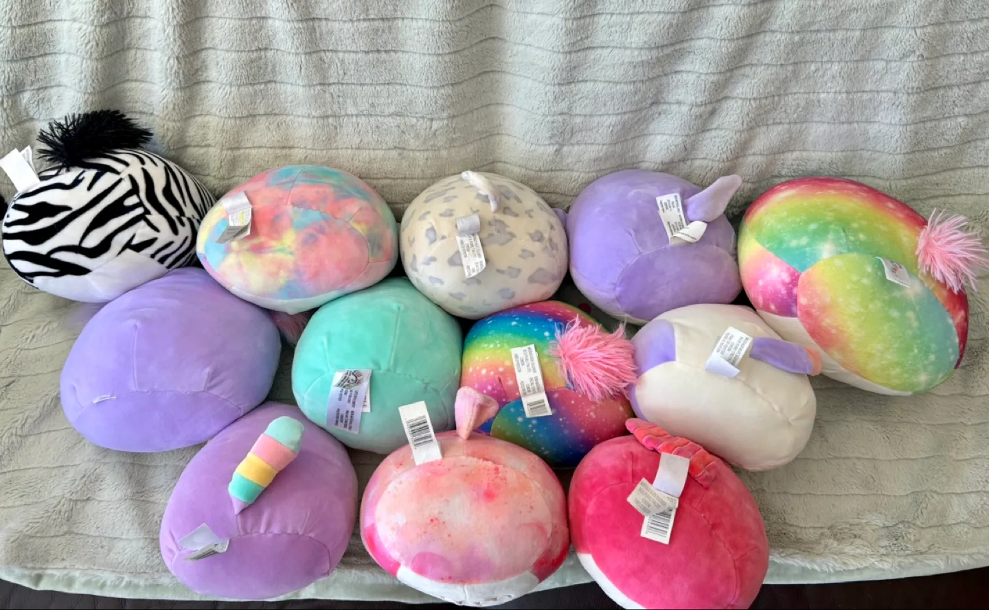 All for $20 - Squishmallows Lot image indicator(8)