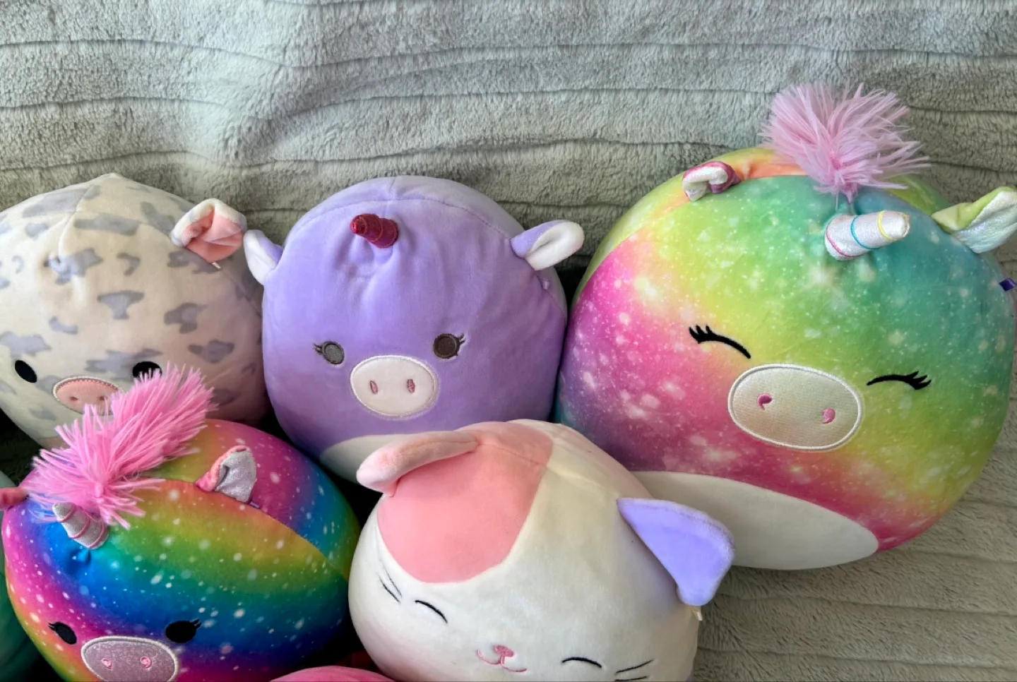 All for $20 - Squishmallows Lot image indicator(7)