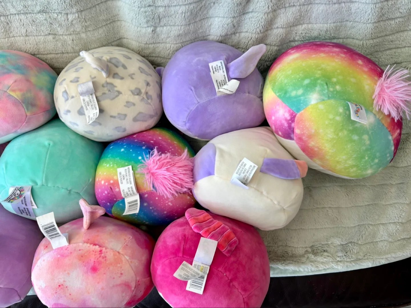All for $20 - Squishmallows Lot image indicator(9)