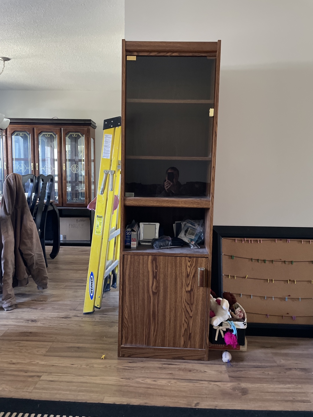 Wooden Cabinet with Glass Door