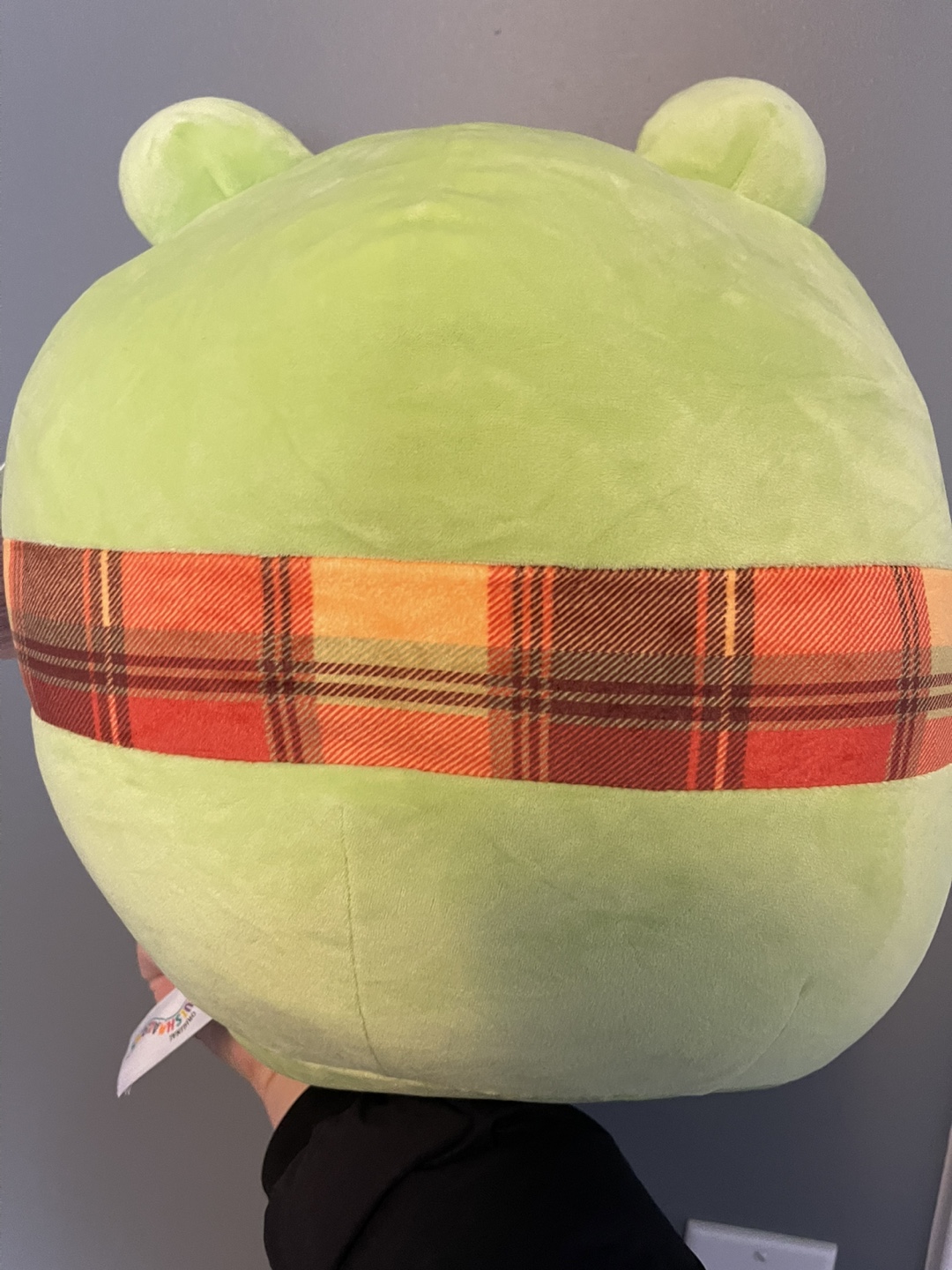 Squishmallow Wendy the Frog Plush - photo 4