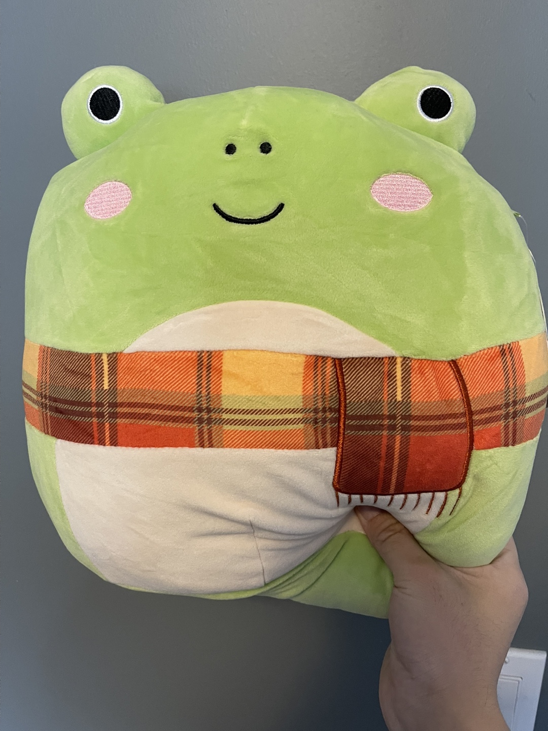Squishmallow Wendy the Frog Plush