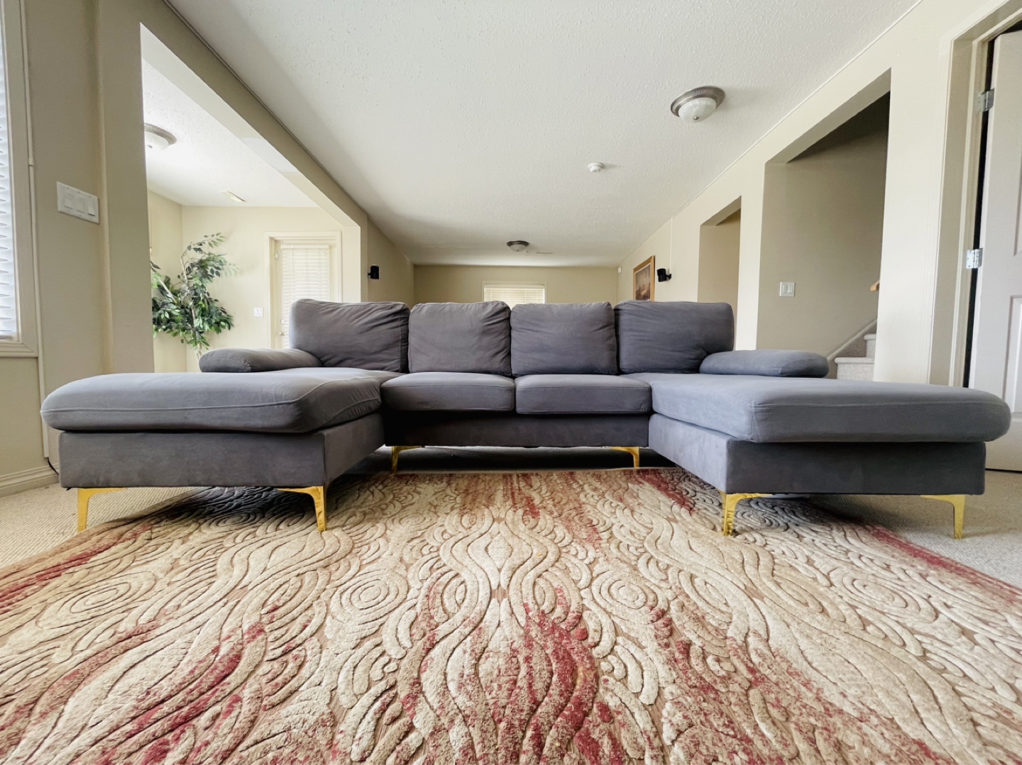 Grey Velvet U-Shaped Sectional Sofa with Gold Legs