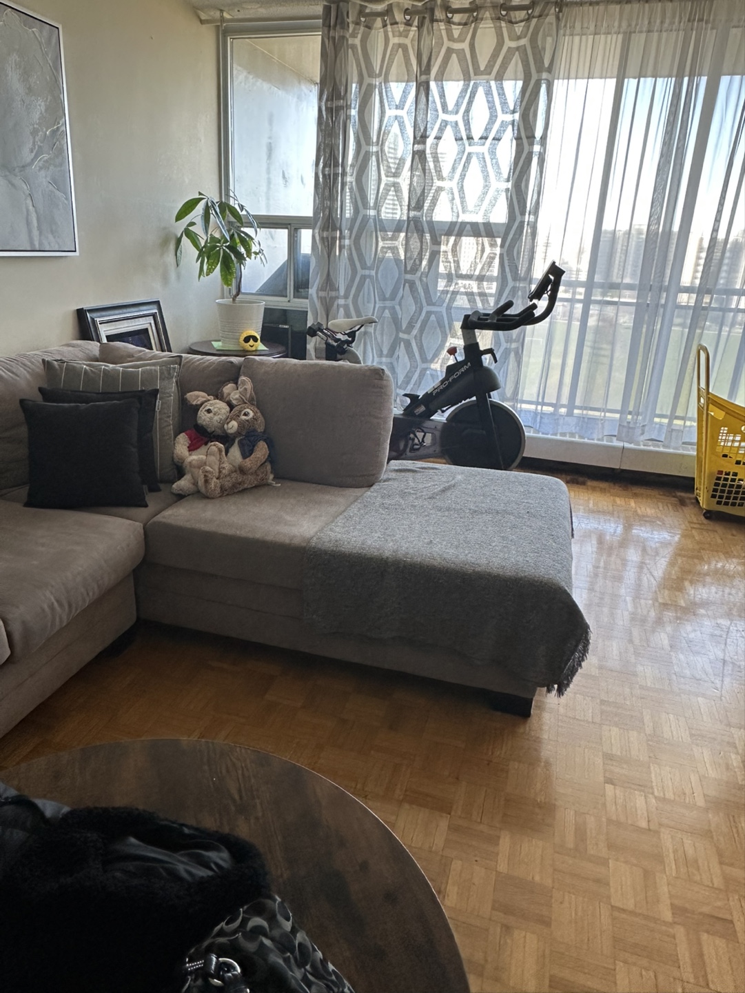 Grey Sectional Sofa - photo 3