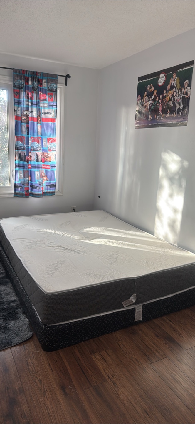 Double Bamboo Mattress and Box Spring Set